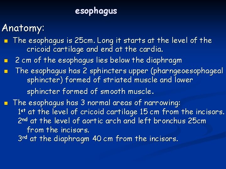 esophagus Anatomy: n n The esophagus is 25 cm. Long it starts at the