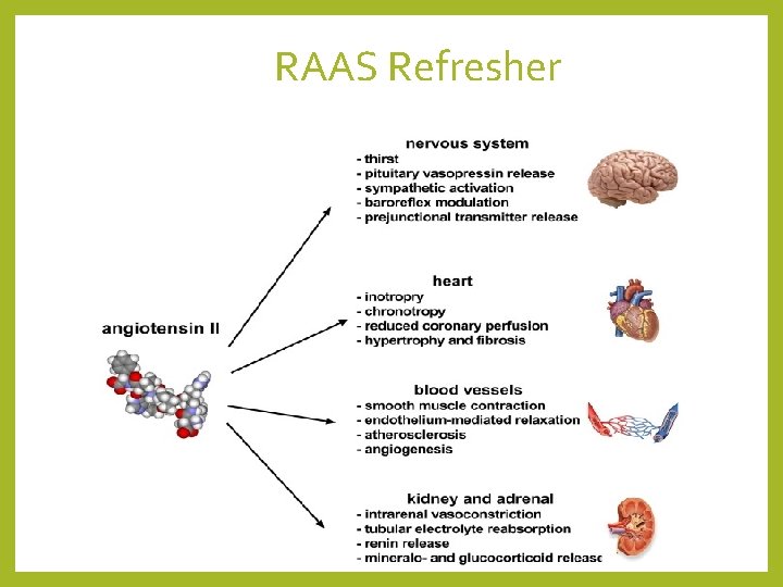 RAAS Refresher 