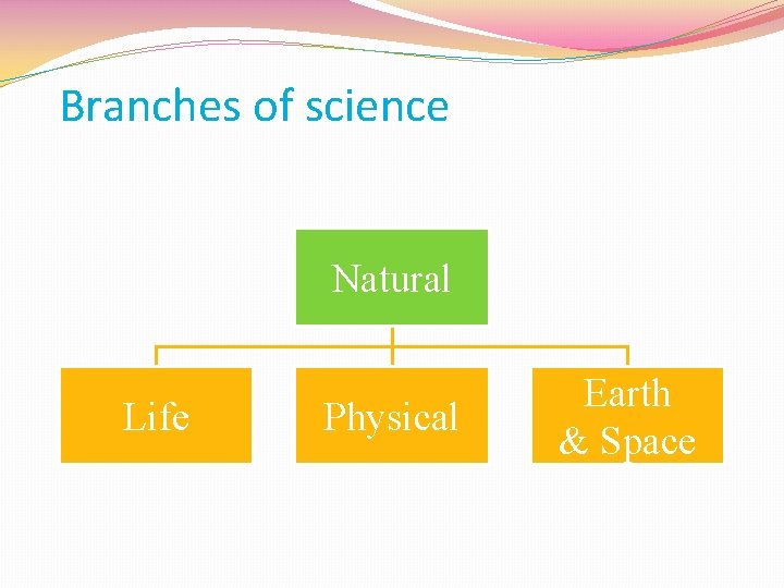 Branches of science Natural Life Physical Earth & Space 