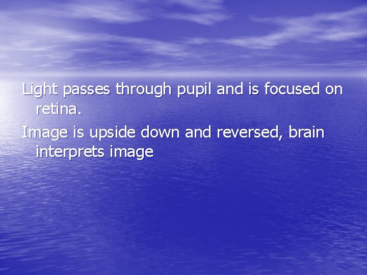 Light passes through pupil and is focused on retina. Image is upside down and Light passes through pupil and is focused on retina. Image is upside down and