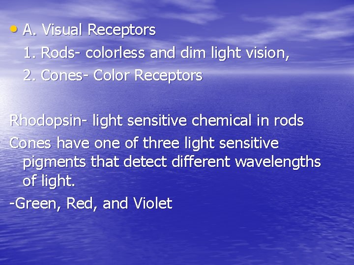 • A. Visual Receptors 1. Rods- colorless and dim light vision, 2. Cones- • A. Visual Receptors 1. Rods- colorless and dim light vision, 2. Cones-