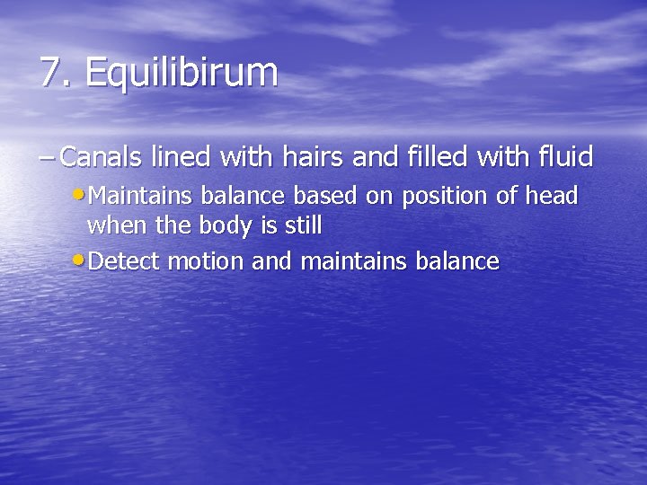 7. Equilibirum – Canals lined with hairs and filled with fluid • Maintains balance 7. Equilibirum – Canals lined with hairs and filled with fluid • Maintains balance