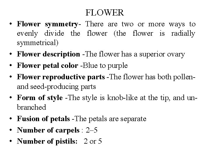 FLOWER • Flower symmetry- There are two or more ways to evenly divide the