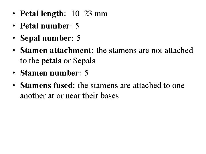  • • Petal length: 10– 23 mm Petal number: 5 Sepal number: 5