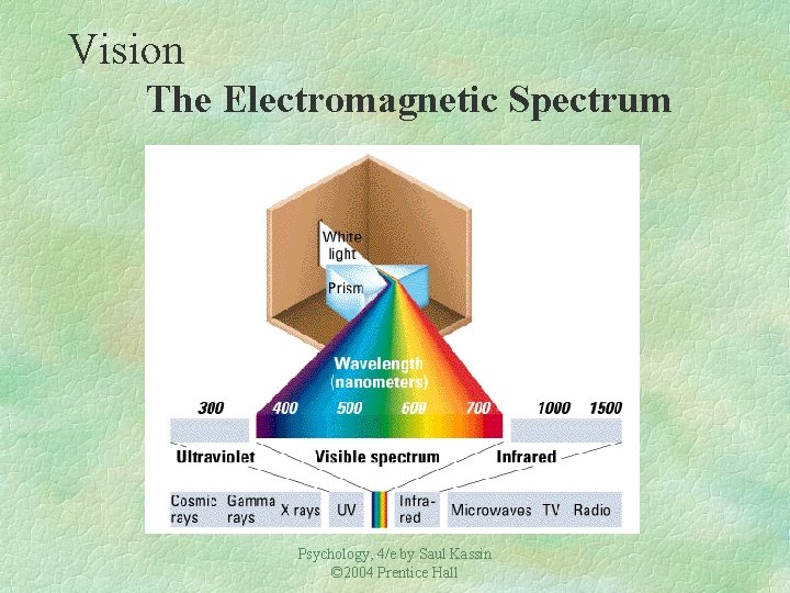 Vision The Electromagnetic Spectrum Psychology, 4/e by Saul Kassin © 2004 Prentice Hall 