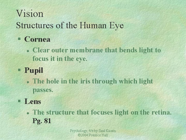 Vision Structures of the Human Eye § Cornea l Clear outer membrane that bends