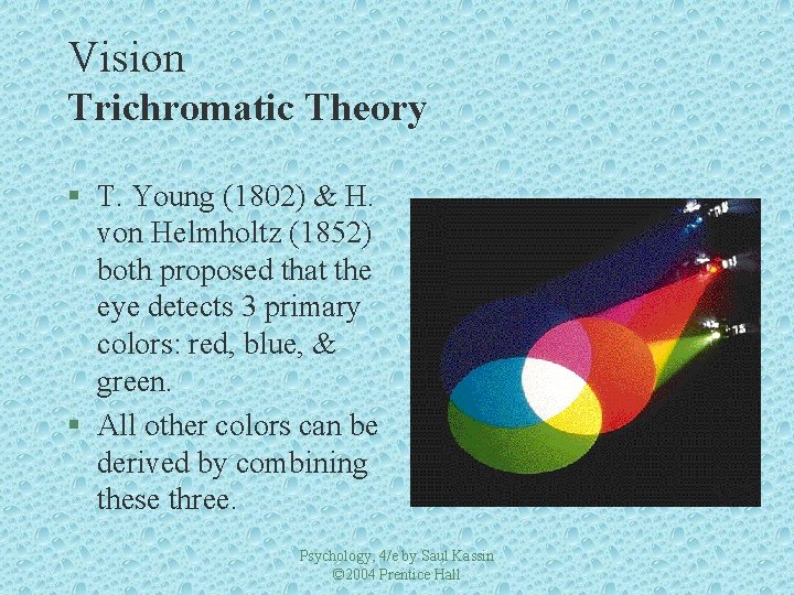 Vision Trichromatic Theory § T. Young (1802) & H. von Helmholtz (1852) both proposed