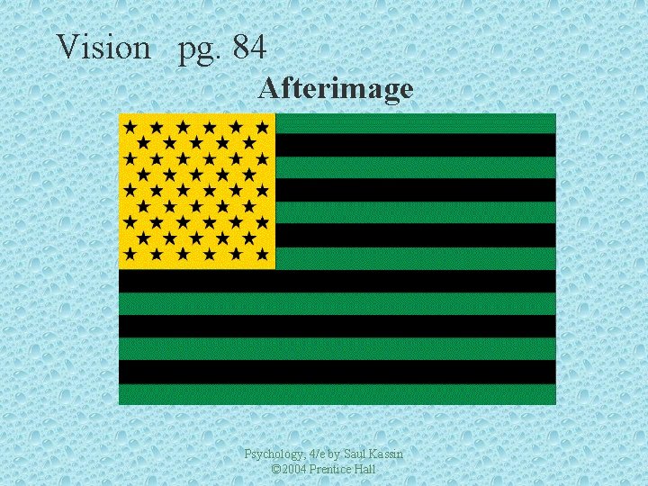 Vision pg. 84 Afterimage Psychology, 4/e by Saul Kassin © 2004 Prentice Hall 