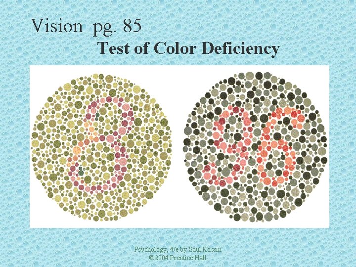 Vision pg. 85 Test of Color Deficiency Psychology, 4/e by Saul Kassin © 2004