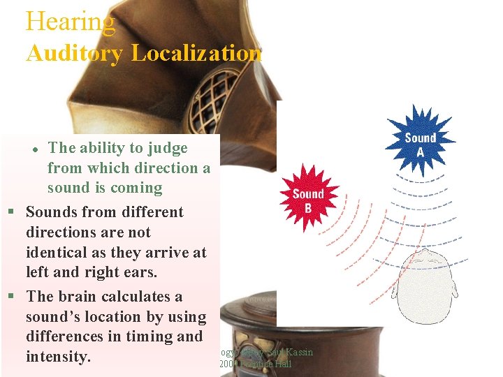 Hearing Auditory Localization The ability to judge from which direction a sound is coming