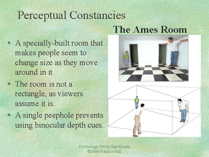 Perceptual Constancies The Ames Room § A specially-built room that makes people seem to
