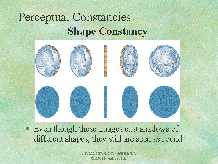 Perceptual Constancies Shape Constancy § Even though these images cast shadows of different shapes,