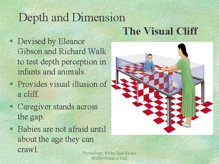 Depth and Dimension The Visual Cliff § Devised by Eleanor Gibson and Richard Walk