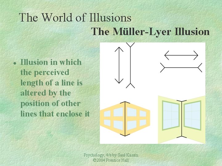 The World of Illusions The Müller-Lyer Illusion l Illusion in which the perceived length