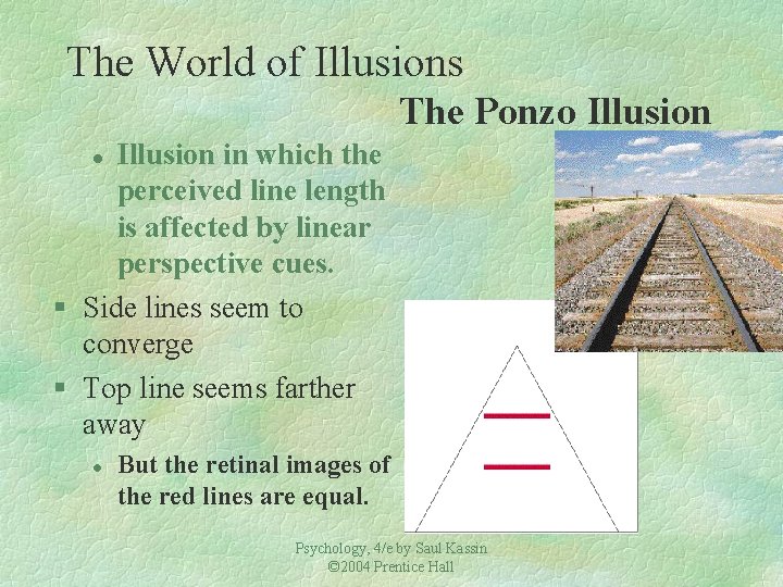 The World of Illusions The Ponzo Illusion in which the perceived line length is