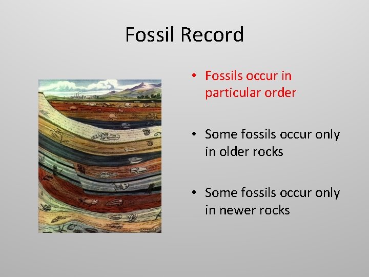 Fossil Record • Fossils occur in particular order • Some fossils occur only in
