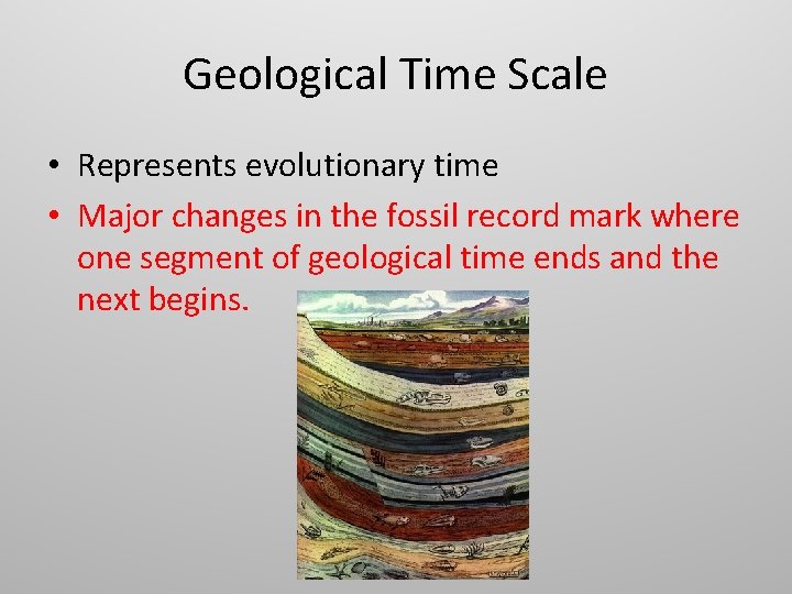 Geological Time Scale • Represents evolutionary time • Major changes in the fossil record