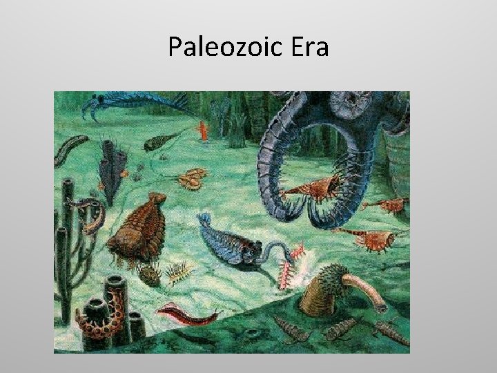 Paleozoic Era 