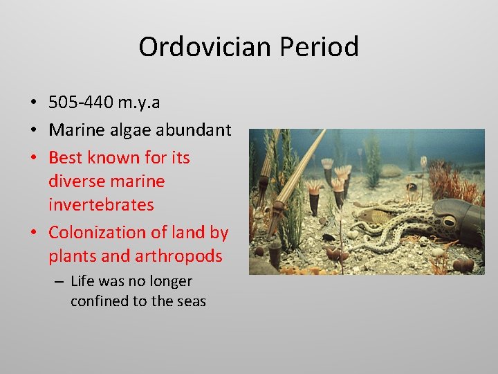 Ordovician Period • 505 -440 m. y. a • Marine algae abundant • Best