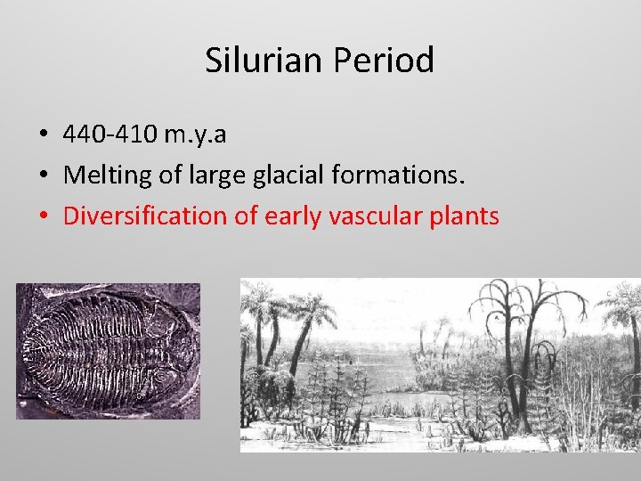 Silurian Period • 440 -410 m. y. a • Melting of large glacial formations.