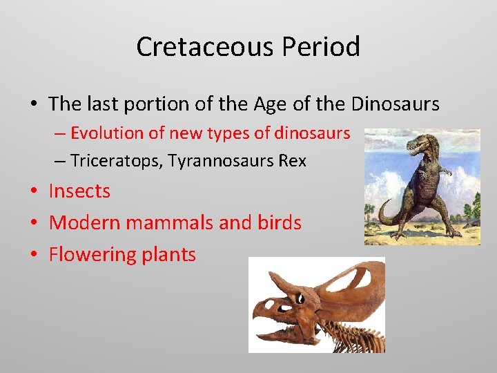 Cretaceous Period • The last portion of the Age of the Dinosaurs – Evolution