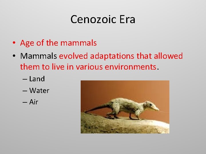 Cenozoic Era • Age of the mammals • Mammals evolved adaptations that allowed them