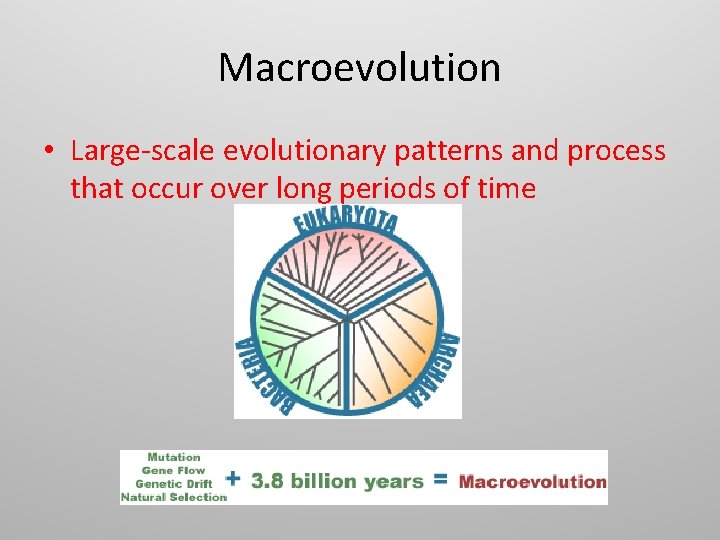 Macroevolution • Large-scale evolutionary patterns and process that occur over long periods of time