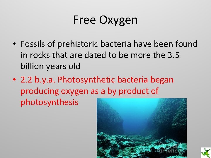 Free Oxygen • Fossils of prehistoric bacteria have been found in rocks that are