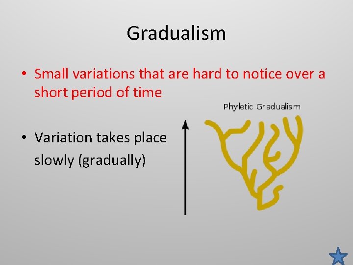 Gradualism • Small variations that are hard to notice over a short period of