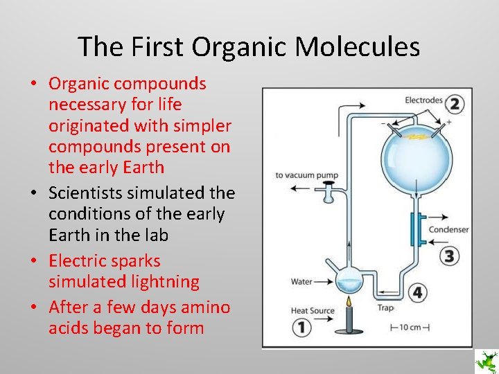 The First Organic Molecules • Organic compounds necessary for life originated with simpler compounds