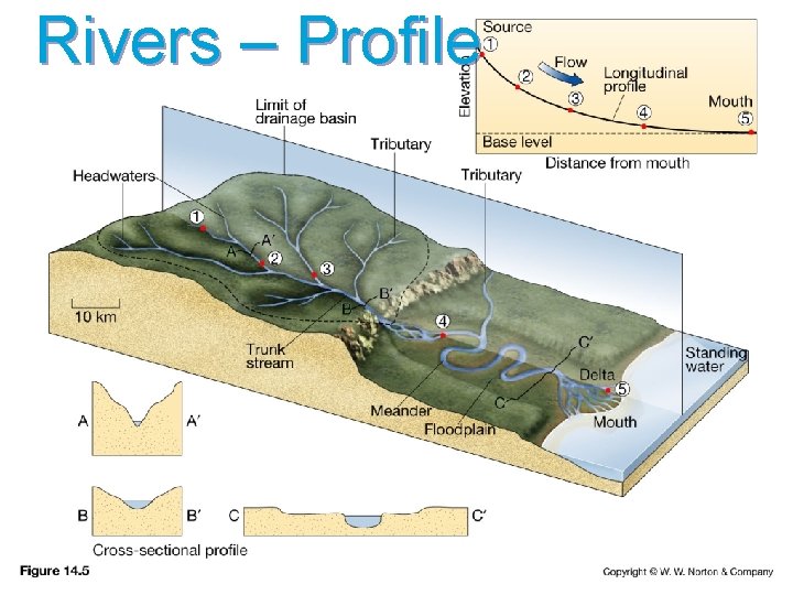 Rivers – Profile 