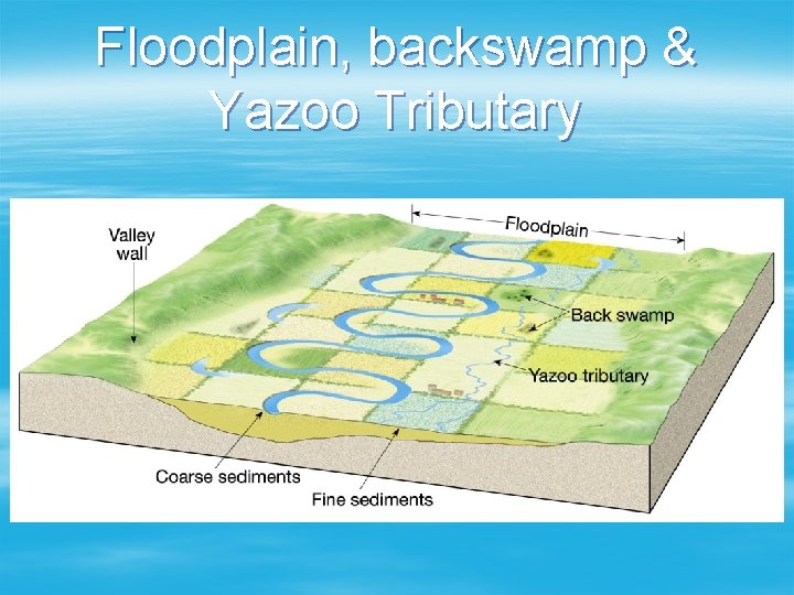 Floodplain, backswamp & Yazoo Tributary 