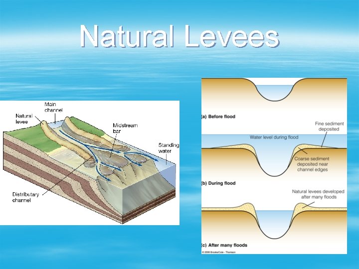 Natural Levees 