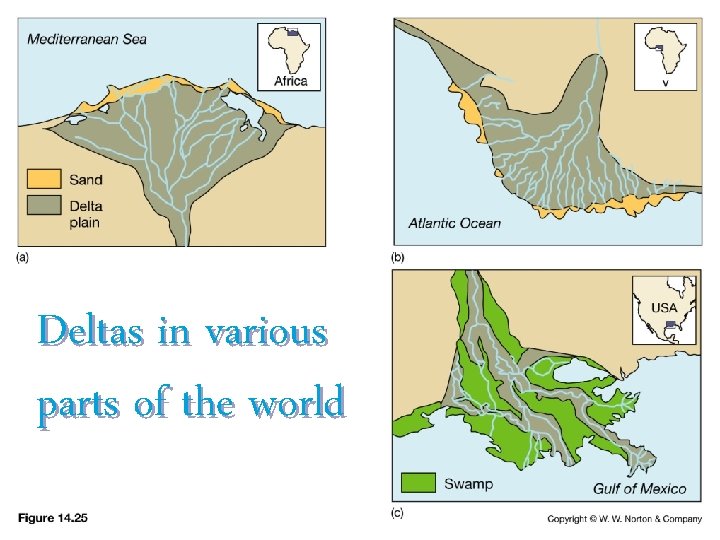 Deltas in various parts of the world 