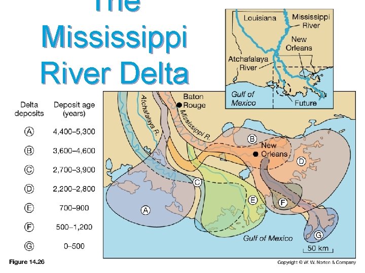 The Mississippi River Delta 