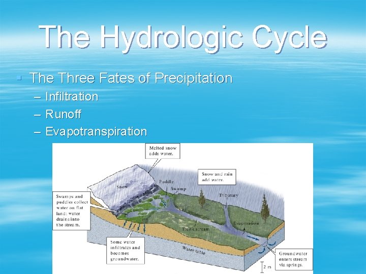 The Hydrologic Cycle § The Three Fates of Precipitation – – – Infiltration Runoff