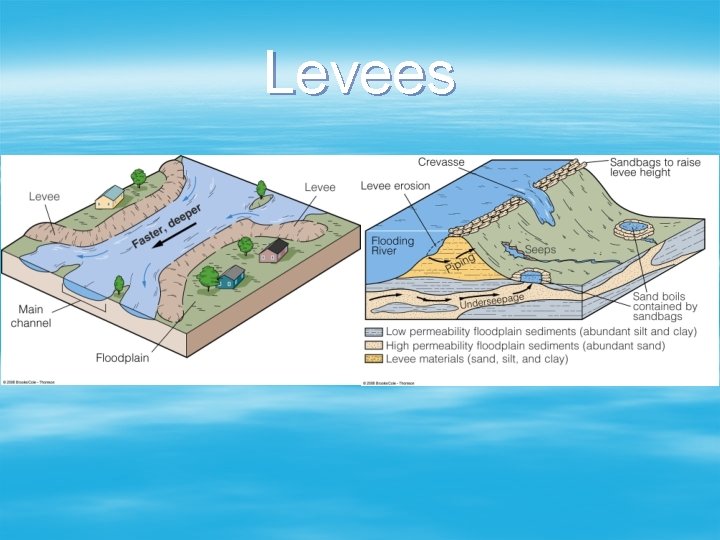 Levees 