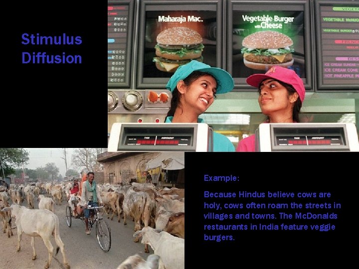 Stimulus Diffusion Example: Because Hindus believe cows are holy, cows often roam the streets