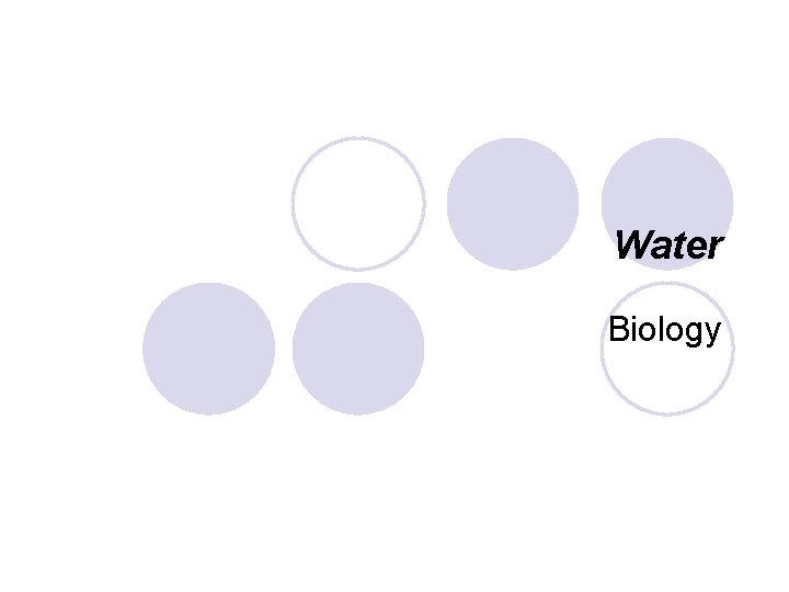 Water Biology 