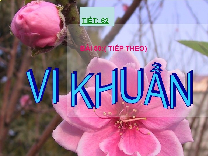 TIẾT: 62 BÀI 50: ( TIẾP THEO) 