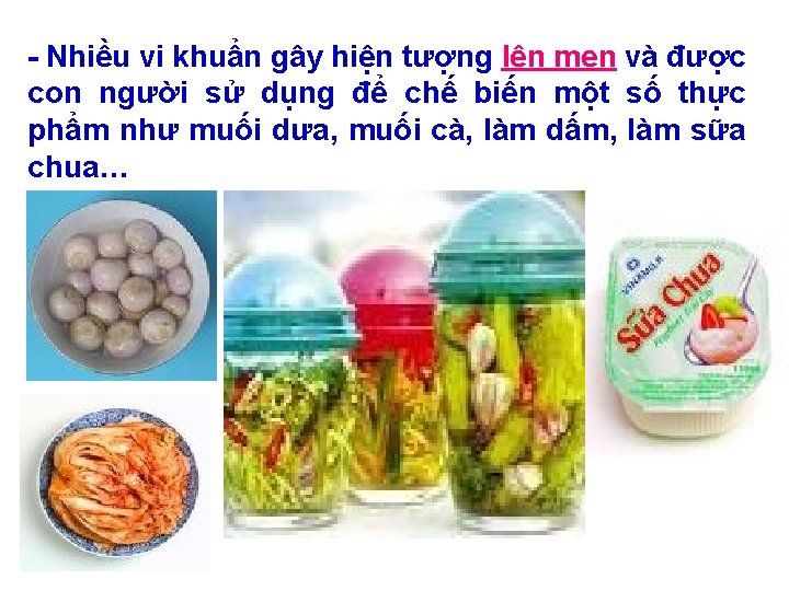  Nhiều vi khuẩn gây hiện tượng lên men và được con người sử