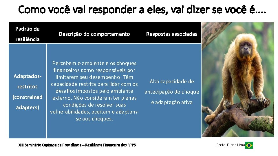 Como você vai responder a eles, vai dizer se você é. . Padrão de