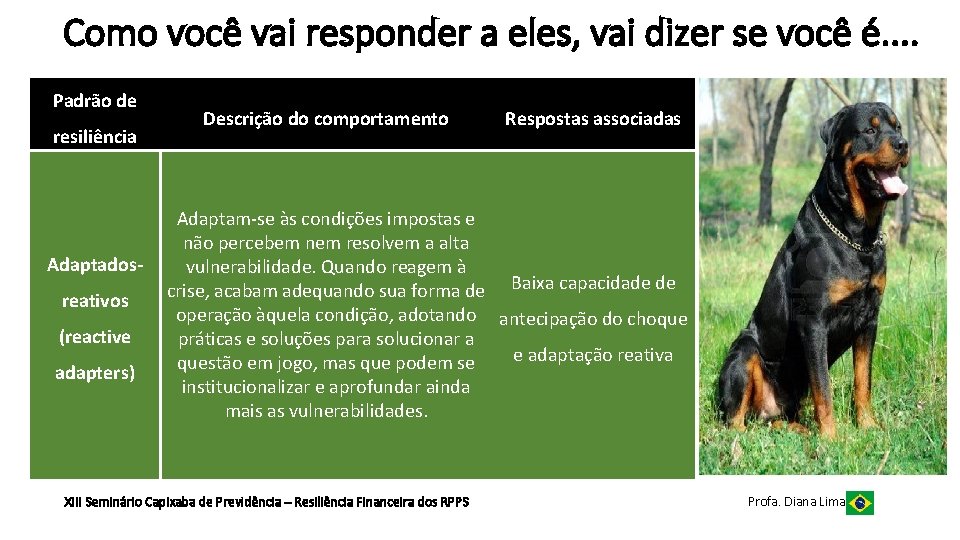 Como você vai responder a eles, vai dizer se você é. . Padrão de