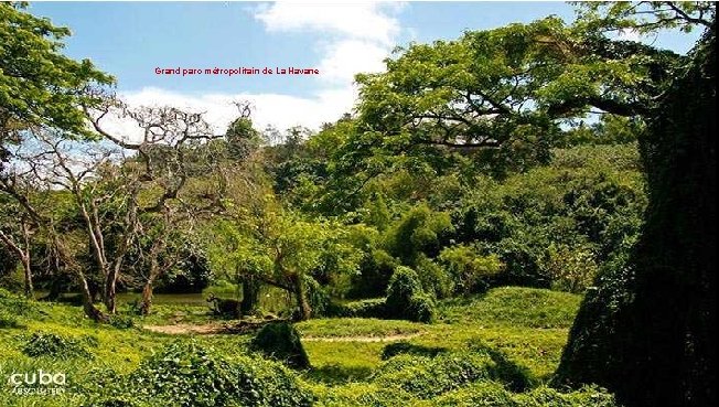 Grand parc métropolitain de La Havane Grand parc métropolitain de La Havane