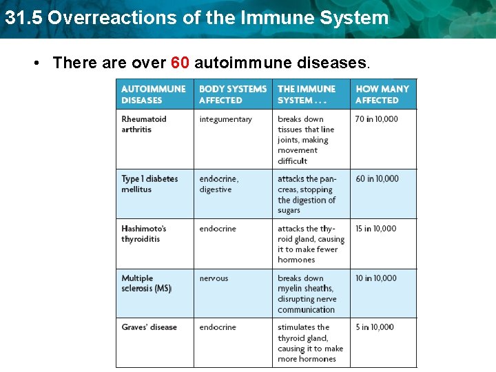 31. 5 Overreactions of the Immune System • There are over 60 autoimmune diseases.