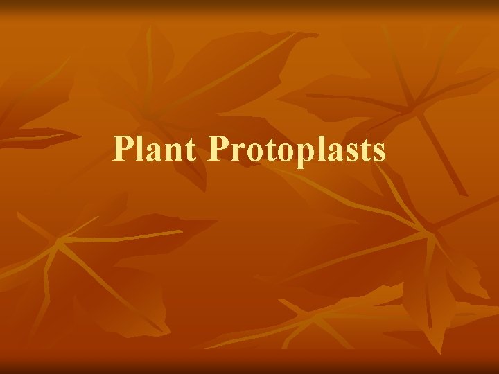 Plant Protoplasts 