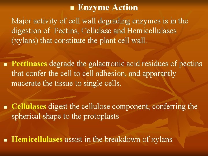 n Enzyme Action Major activity of cell wall degrading enzymes is in the digestion