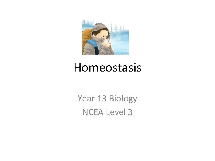 Homeostasis Year 13 Biology NCEA Level 3 