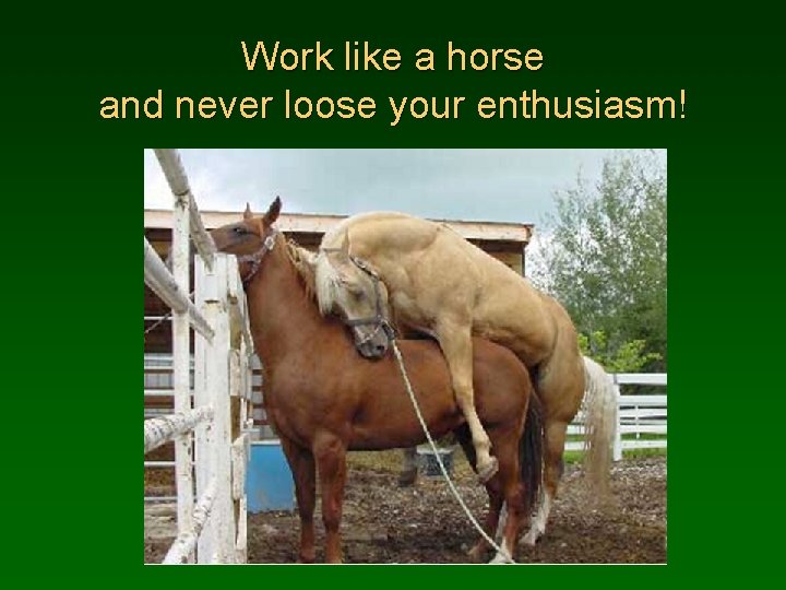 Work like a horse and never loose your enthusiasm! 