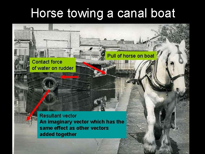 Horse towing a canal boat Pull of horse on boat Contact force of water